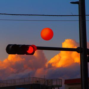 男总裁贱狗是男秘书主人的垫脚
